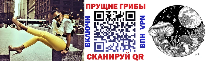 Галлюциногенные грибы MAGIC MUSHROOMS  Великий Новгород 